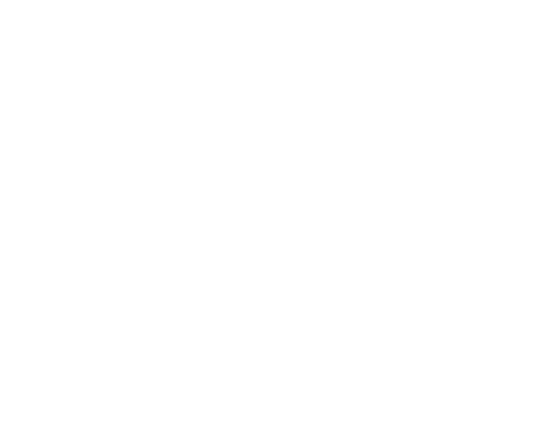 buechse